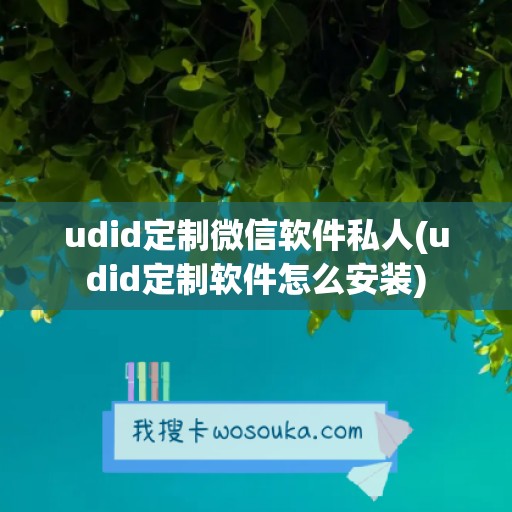 udid定制微信软件私人(udid定制软件怎么安装)