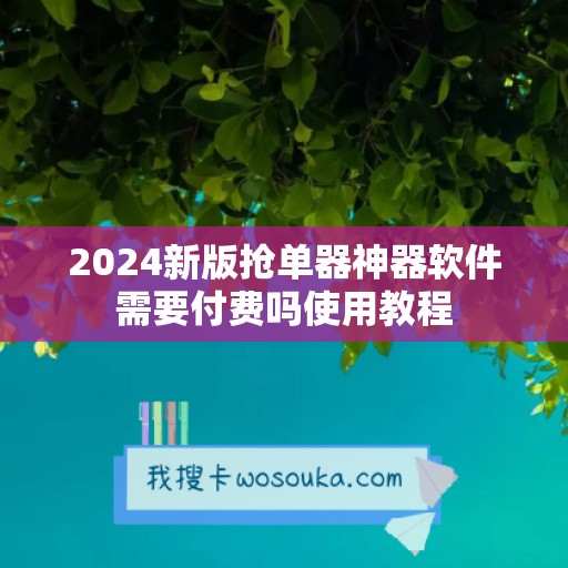 2024新版抢单器神器软件需要付费吗使用教程