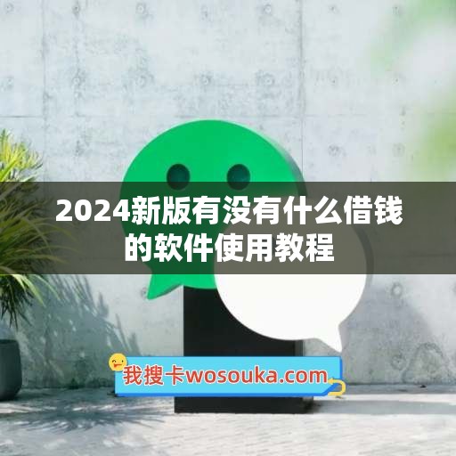 2024新版有没有什么借钱的软件使用教程