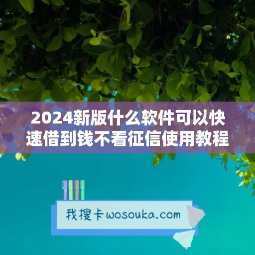 2024新版什么软件可以快速借到钱不看征信使用教程