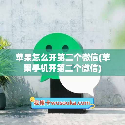 苹果怎么开第二个微信(苹果手机开第二个微信)