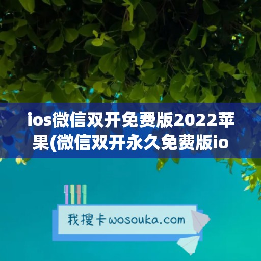 ios微信双开免费版2022苹果(微信双开永久免费版ios)