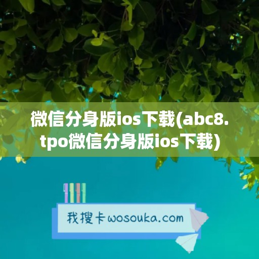 微信分身版ios下载(abc8.tpo微信分身版ios下载)