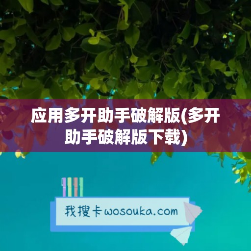 应用多开助手破解版(多开助手破解版下载)