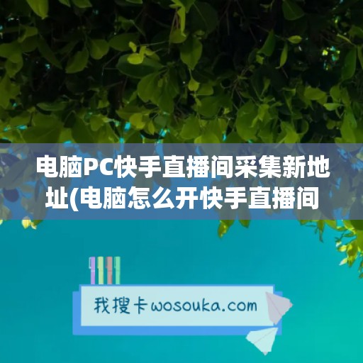 电脑PC快手直播间采集新地址(电脑怎么开快手直播间)