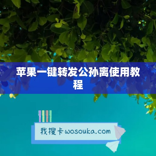 苹果一键转发公孙离使用教程