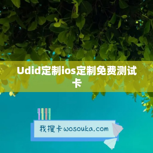 Udid定制ios定制免费测试卡