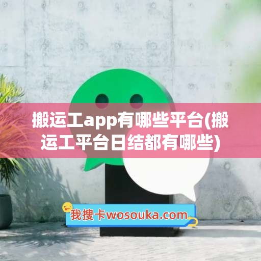 搬运工app有哪些平台(搬运工平台日结都有哪些)