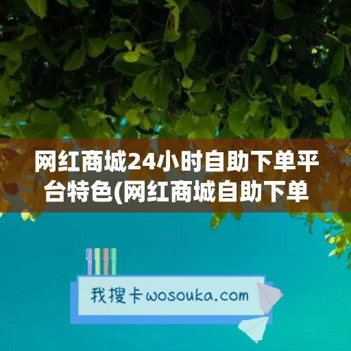 网红商城24小时自助下单平台特色(网红商城自助下单网站)