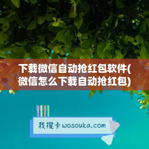 下载微信自动抢红包软件(微信怎么下载自动抢红包)