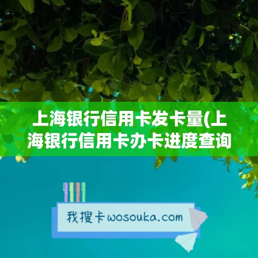 上海银行信用卡发卡量(上海银行信用卡办卡进度查询)