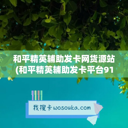 和平精英辅助发卡网货源站(和平精英辅助发卡平台91)