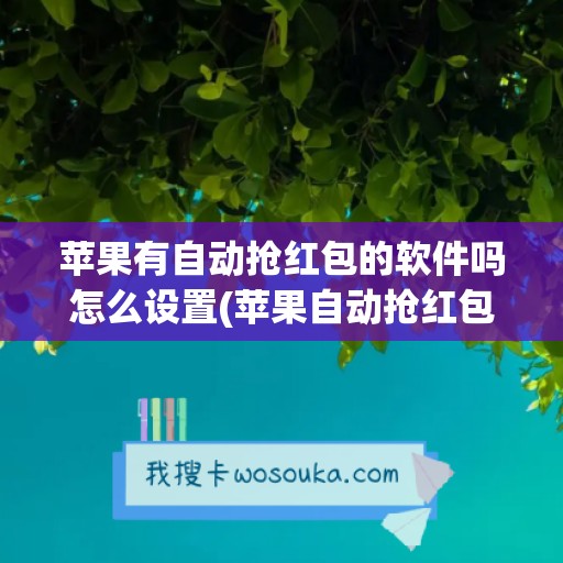 苹果有自动抢红包的软件吗怎么设置(苹果自动抢红包软件(免费))