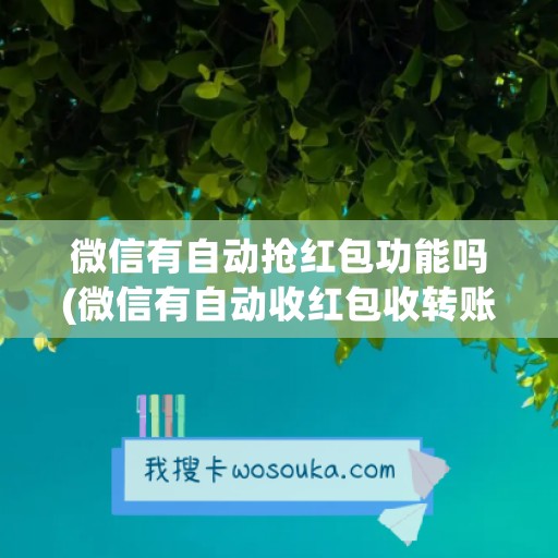 微信有自动抢红包功能吗(微信有自动收红包收转账的功能吗)