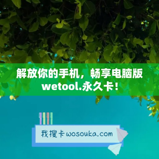 解放你的手机，畅享电脑版wetool.永久卡！