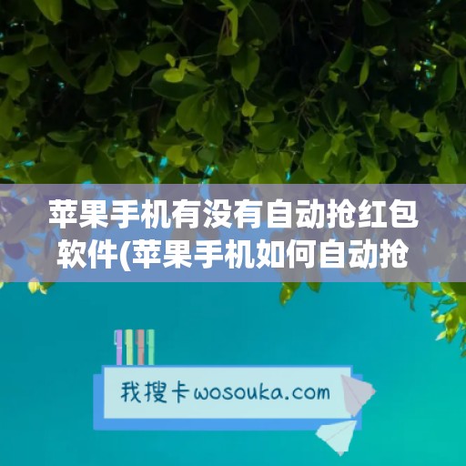 苹果手机有没有自动抢红包软件(苹果手机如何自动抢红包)