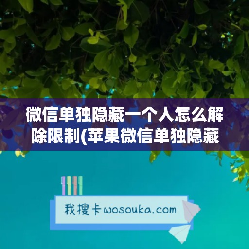 微信单独隐藏一个人怎么解除限制(苹果微信单独隐藏一个人怎么设置)