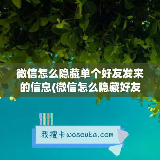 微信怎么隐藏单个好友发来的信息(微信怎么隐藏好友)