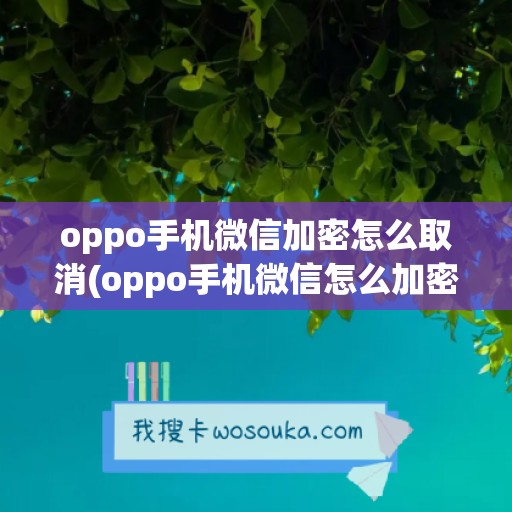 oppo手机微信加密怎么取消(oppo手机微信怎么加密)