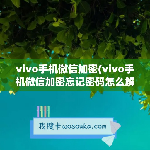 vivo手机微信加密(vivo手机微信加密忘记密码怎么解除)