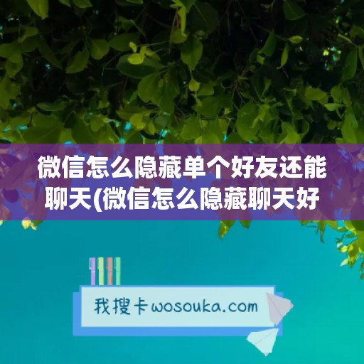 微信怎么隐藏单个好友还能聊天(微信怎么隐藏聊天好友)