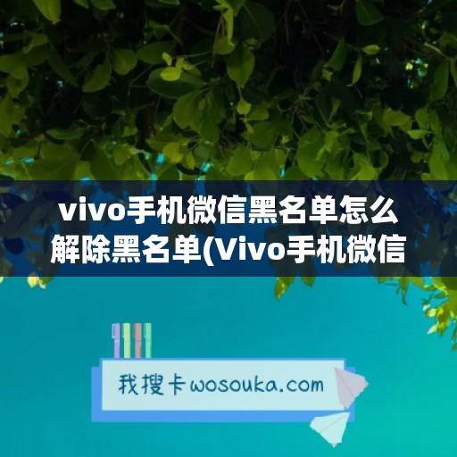 vivo手机微信黑名单怎么解除黑名单(Vivo手机微信黑名单在哪里)