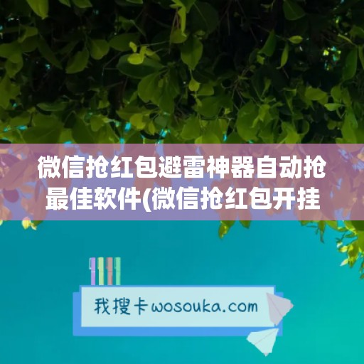 微信抢红包避雷神器自动抢最佳软件(微信抢红包开挂神器下载)