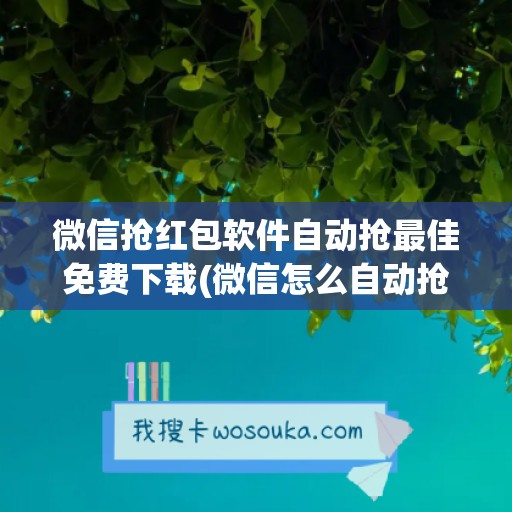 微信抢红包软件自动抢最佳免费下载(微信怎么自动抢红包软件)