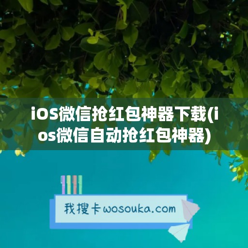 iOS微信抢红包神器下载(ios微信自动抢红包神器)