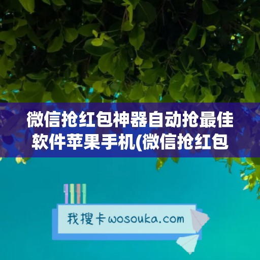 微信抢红包神器自动抢最佳软件苹果手机(微信抢红包开挂神器)