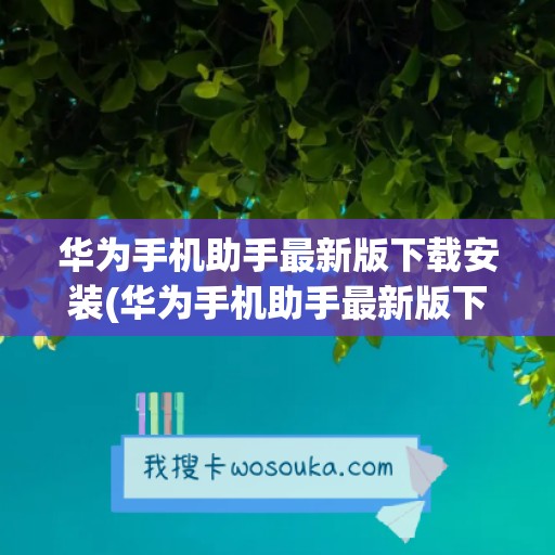 华为手机助手最新版下载安装(华为手机助手最新版下载安装到手机)