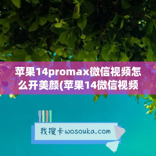 苹果14promax微信视频怎么开美颜(苹果14微信视频怎么开美颜功能)