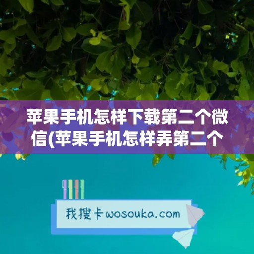 苹果手机怎样下载第二个微信(苹果手机怎样弄第二个微信)