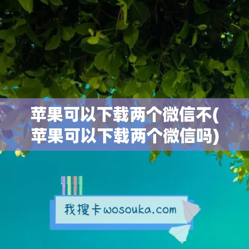 苹果可以下载两个微信不(苹果可以下载两个微信吗)