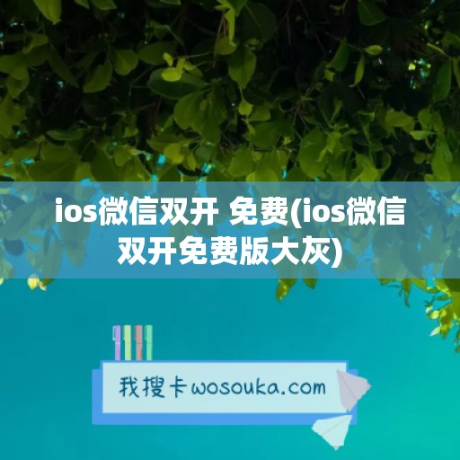 ios微信双开 免费(ios微信双开免费版大灰)