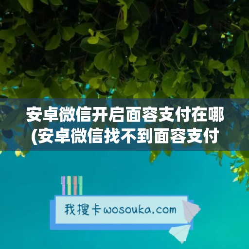 安卓微信开启面容支付在哪(安卓微信找不到面容支付怎么办)