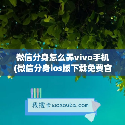 微信分身怎么弄vivo手机(微信分身ios版下载免费官网)