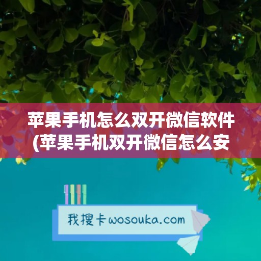 苹果手机怎么双开微信软件(苹果手机双开微信怎么安装)