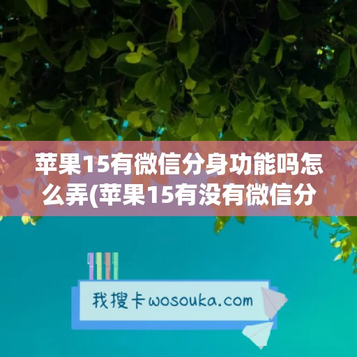 苹果15有微信分身功能吗怎么弄(苹果15有没有微信分身)