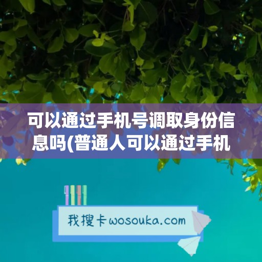 可以通过手机号调取身份信息吗(普通人可以通过手机号查身份信息吗)