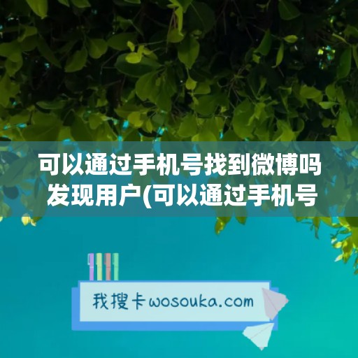 可以通过手机号找到微博吗 发现用户(可以通过手机号查询到个人信息吗)