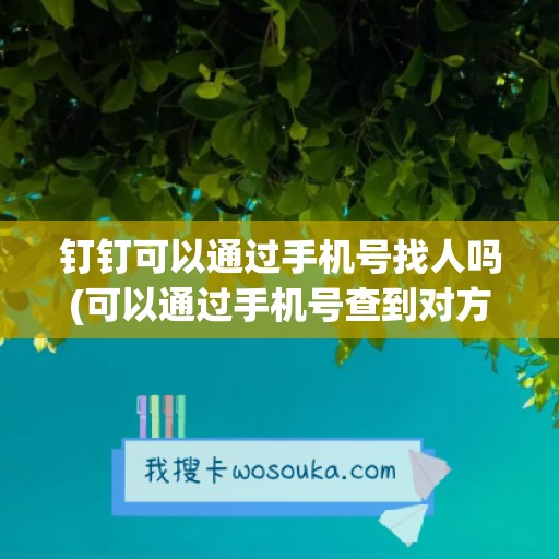 钉钉可以通过手机号找人吗(可以通过手机号查到对方哪些信息)