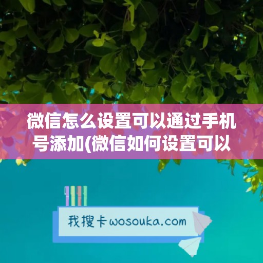 微信怎么设置可以通过手机号添加(微信如何设置可以通过手机找到我)