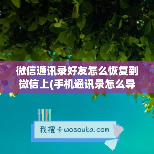 微信通讯录好友怎么恢复到微信上(手机通讯录怎么导入新手机上)