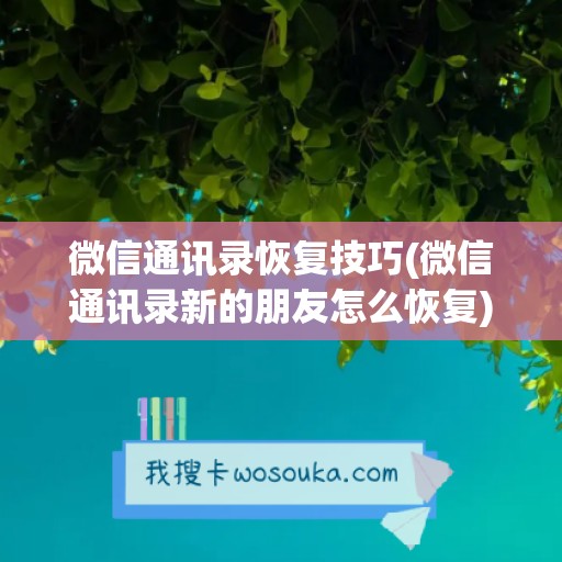 微信通讯录恢复技巧(微信通讯录新的朋友怎么恢复)