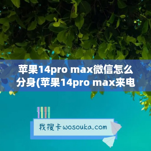 苹果14pro max微信怎么分身(苹果14pro max来电闪光灯怎么设置)