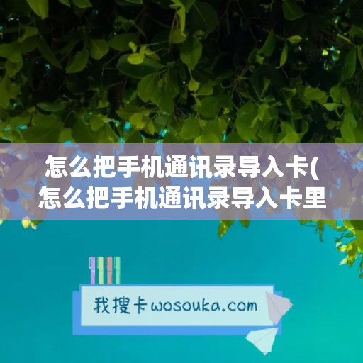 怎么把手机通讯录导入卡(怎么把手机通讯录导入卡里)