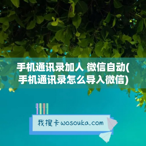 手机通讯录加人 微信自动(手机通讯录怎么导入微信)