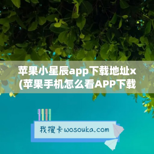 苹果小星辰app下载地址x(苹果手机怎么看APP下载地址)