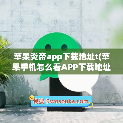 苹果炎帝app下载地址t(苹果手机怎么看APP下载地址)